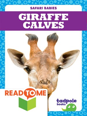 cover image of Giraffe Calves
